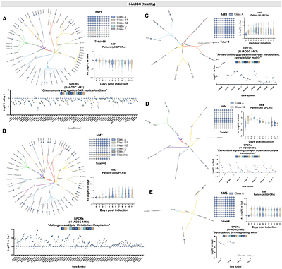 Identification and functional assessment of GPCRs across human adipogenesis