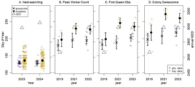 Contrasting life history strategies explain contrasting phenology of two co-occurring bumble bee species