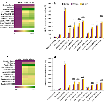 Determination of GLP-1 Secretion Potential of Dead and Live Akkermansia muciniphila Using Human L-cells