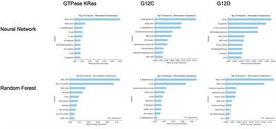 Machine Learning-Driven Drug Repurposing for KRAS G12C and KRAS G12D Inhibition