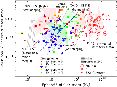 Galaxy morphology dependent (black hole mass)-(velocity dispersion) relations: implications for gravitational wave forecasts and cosmological simulations