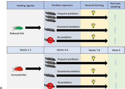 Nutritional state and predator exposure jointly mediate stress resilience and behavioural flexibility
