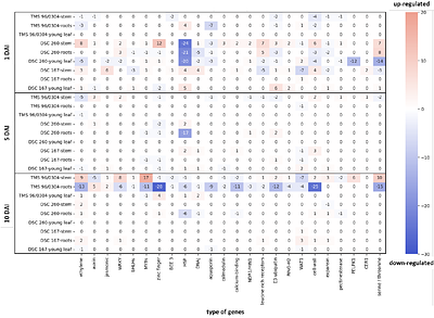 Identification of immune response genes of cassava during early phases of cassava brown streak virus infection