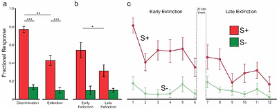 Neural correlates of appetitive extinction learning: An fMRI study with actively participating pigeons