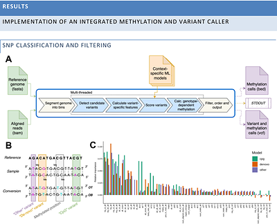 Rastair: an integrated variant and methylation caller