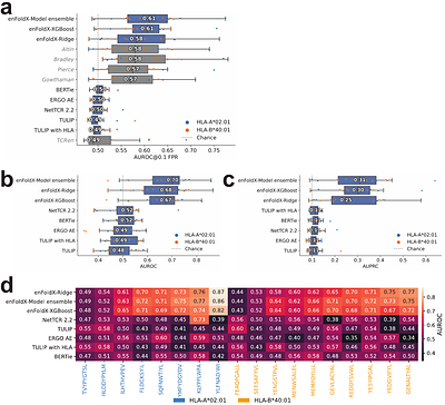 Ensembles of in silico structures enable T cell peptide-MHC binding prediction