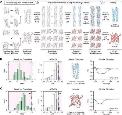 ProteinSketch translates spatial intuition into protein design with bimanual interaction in VR