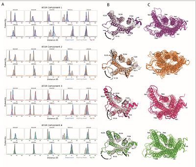ProGuide: a flexible framework for modeling global conformational rearrangements in proteins using DEER-derived distance restraints