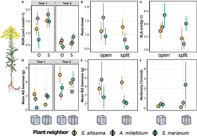 Plant neighbors differentially alter a focal species' biotic interactions through changes to resource allocation
