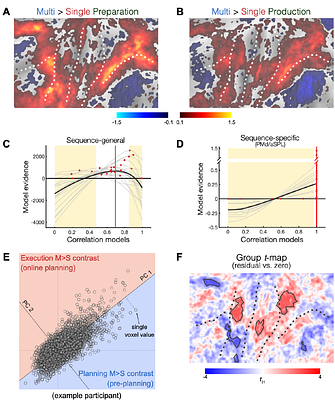 Cortical areas for planning sequences before and during movement