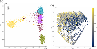 Popformer: Learning general signatures of positive selection with a self-supervised transformer