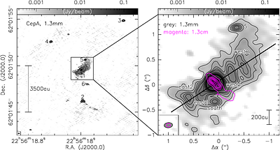 The CepA disk-outflow system at <=0.2'' or <=100au resolution
