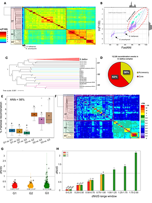 Life in sediments fosters 'sexual' speciation in Shewanella baltica