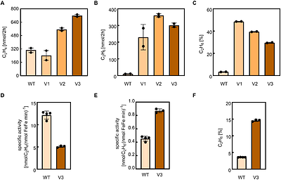 Directed evolution of the Fe-nitrogenase for CO2 reduction to hydrocarbons