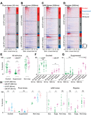 Layer 5 and 6b extratelencephalic neurons encode distinct sound features in auditory cortex