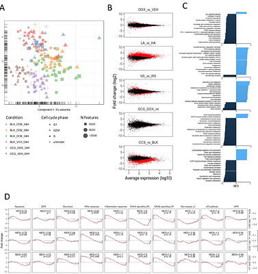 Single-cell transcriptomics uncovers that cell-to-cell communication controls p53 activation