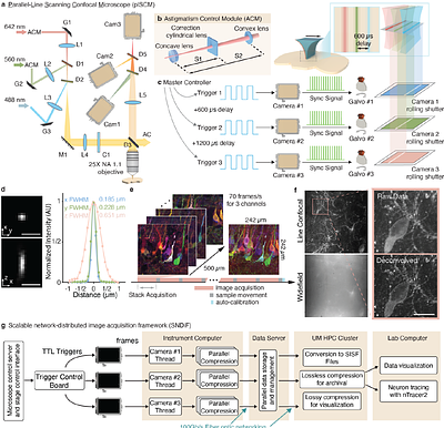 A parallelly distributed microscope and software system for scalable high-throughput multispectral 3D imaging