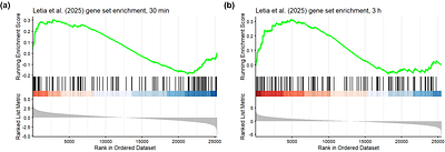 The receptor kinase NILR1 confers nematode resistance through developmental rather than canonical immune signaling