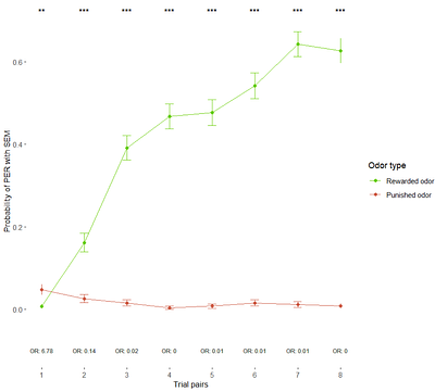 Buzzed but not elated? Effect of ethanol on cognitive judgement bias in honeybees