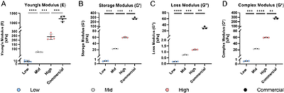 Development and Characterization of a Tunable PDMS Substrate Model for Investigating Elastic Properties and Mechanical Stretching in Intervertebral Disc Mechanobiology
