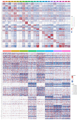 Expansion and Differentiation of Adult Human Pancreas-Derived Progenitor Cells into Functional Islet-Like Organoids