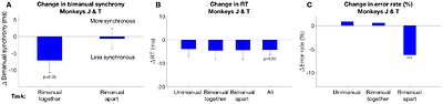 A causal role for the posterior corpus callosum in bimanual coordination