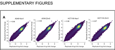 Optimized parameters for Cas9 CRISPR interference library design