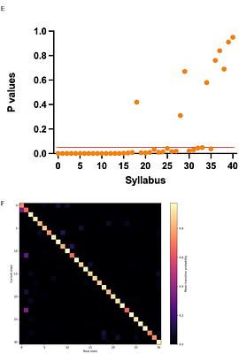 Quantifying Behavioral Structure and Persistence in Open-Field Assays Using Entropy and Spectral Metrics