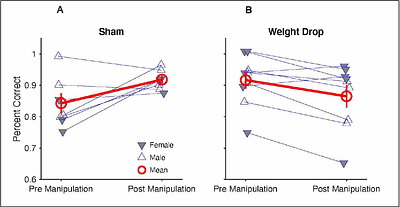 MILD TRAUMATIC BRAIN INJURY IMPAIRS SPATIAL WORKING MEMORY IN RATS