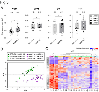 Human Serum Albumin as a Hidden Source of Variability in IVF Culture Media