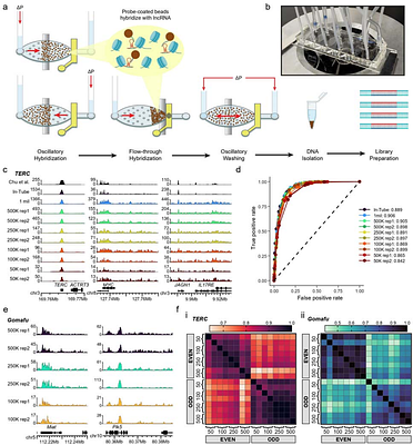 Microfluidic low-input profiling reveals lncRNA roles in disease