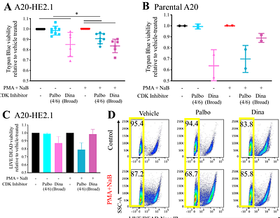 Selective effects of cyclin dependent kinase inhibitors in gammaherpesvirus reactivation from latency