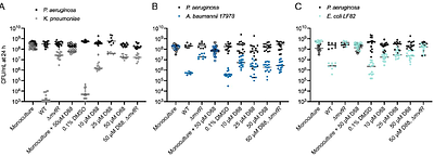 MvfR shapes Pseudomonas aeruginosa Interactions in Polymicrobial Contexts: Implications for Targeted Quorum Sensing Inhibition