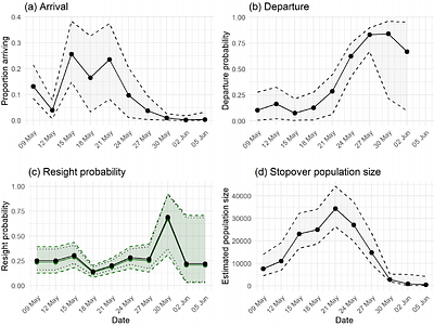 Stopover Population Estimate and Migration Ecology of Red Knots C. c. rufa at Delaware Bay, USA, 2025
