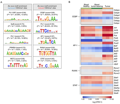 Epigenomic programming of peripheral monocytes determines their transcriptional response to the tumor microenvironment
