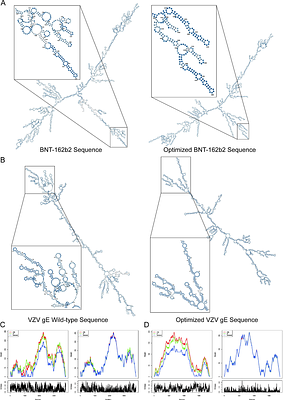 RNASTOP: A Deep Learning Framework for mRNA Chemical Stability Prediction and Optimization