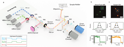 Characterization of Nanoparticles in Suspension by Simultaneous iNTA and Fluorescence Detection with Single-Molecule Sensitivity