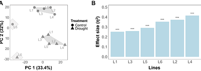 Prediction of harvest-related traits in barley using high-throughput phenotyping data and machine learning