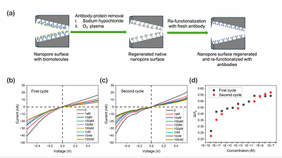 Detection of attomolar concentration of heart-type fatty acid binding protein using ion current rectification sensing with conical SiO2 nanopores