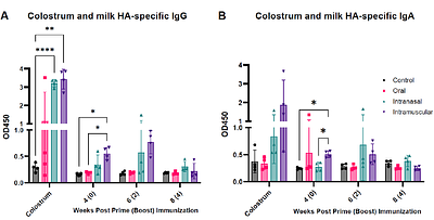 Route of Adenovirus Type 5-Vectored Influenza Vaccination Shapes Systemic and Mucosal Immunity in a Maternal-Neonatal Pig Model