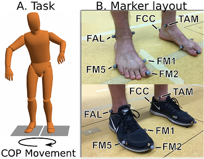 A polygon model of the functional base-of-support improves the accuracy of balance analysis