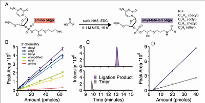 Enzymatic Ligation Strategy to Enhance Electrospray Ionization Efficiency and Liquid Chromatography-Mass Spectrometry of DNA and RNA Oligonucleotides