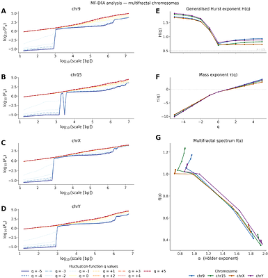 Genome-wide mapping of persistent long-range correlation in the complete telomere-to-telomere human reference genome
