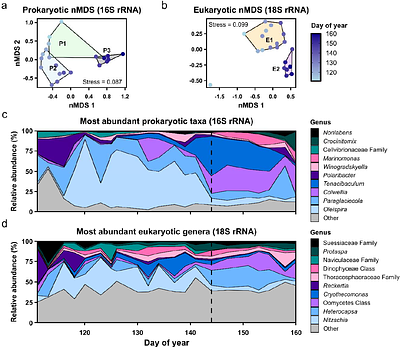 Sea-ice microbial community succession and the potential role of parasitoids in the maintenance of diversity
