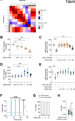 Non-canonical signaling mechanisms of short-chain fatty acid receptors in glucagon-like peptide-1 (GLP-1) releasing enteroendocrine cells