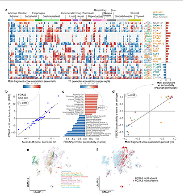 Semantic fragment representations for coordinate-free analysis of genomics data