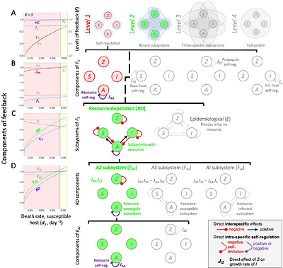 'Loop tracing' feedback reveals mechanisms that drive instabilities in resource-host-parasite dynamics