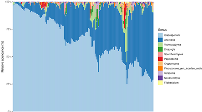 Characterization of mycobiota in faba beans infected with Alternaria spp.