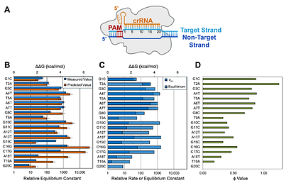 Rho ({rho}) Analysis to Dissect RNA Folding and Assembly Pathways