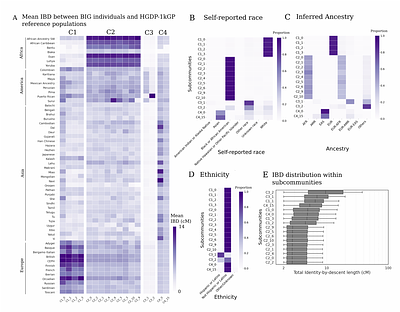 Identity-by-descent captures Shared Environmental Factors at Biobank Scale